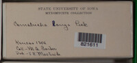 Image Associated With the Occurence